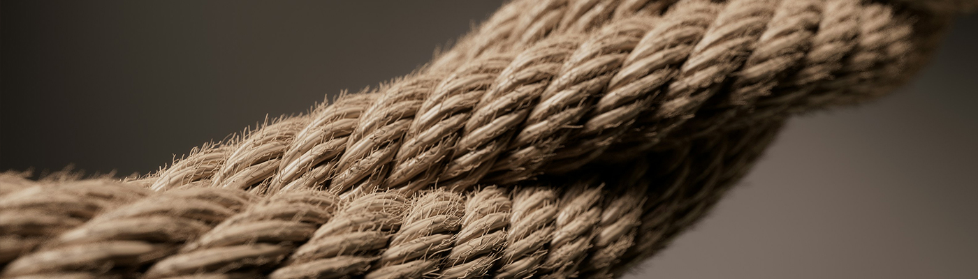Holding the Rope: Why Adoptive Families Need the Church