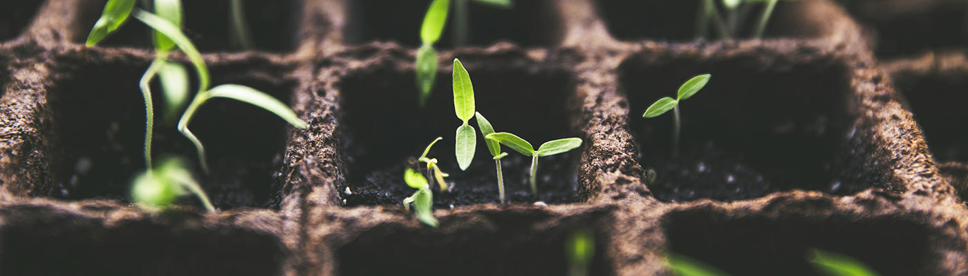 What Is Sanctification? Living Out Your Identity in Christ What Is Sanctification? Living Out Your Identity in Christ